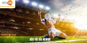 Kèo tài xỉu NEW88